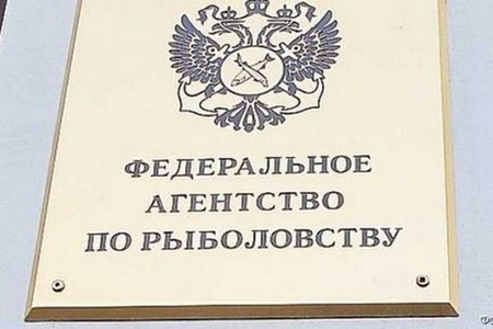 Бывшего советника главы Росрыболовства арестовали как решальщика