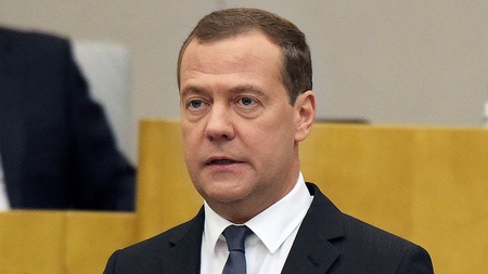 Медведеву не удалось решить проблему истребления российских лесов
