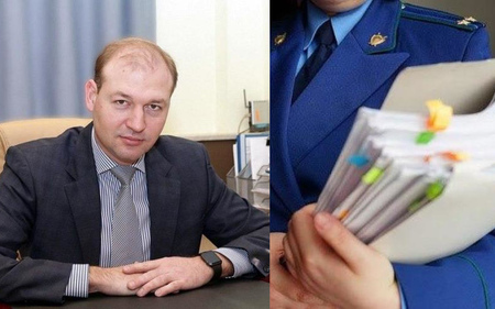 Отпуск в Ницце ульяновского министра сельского хозяйства Михаила Семенкина проверит прокуратура