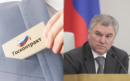 Деловые партнеры жены спикера Госдумы Вячеслава Володина зарабатывают миллионы на госконтрактах