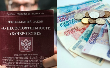МОО «Живая планета» могут признать банкротом из-за долга в 1 млн рублей