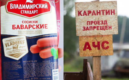 АЧС распространяется по России: в колбасной продукции «Владимирского Стандарта» и «Стародворских колбас» выявили геном вируса