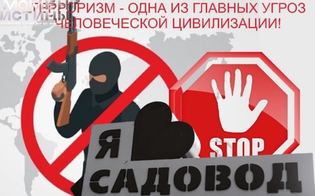 Олигaрх Год Нисaнов и этнические диaспоры контролируют рынок, где террористы могли приобрести оружие и взрывчaтку