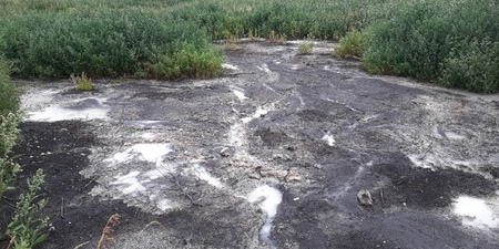 Барнаульский бизнесмен слил опасные отходы в почву