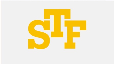 Владельцы STForex заочно арестованы по решению суда