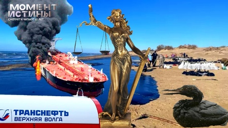 Мэрия Анапы требует 211 млн рублей с судовладельцов Волготранснефти из-за разлива мазута в Черном море