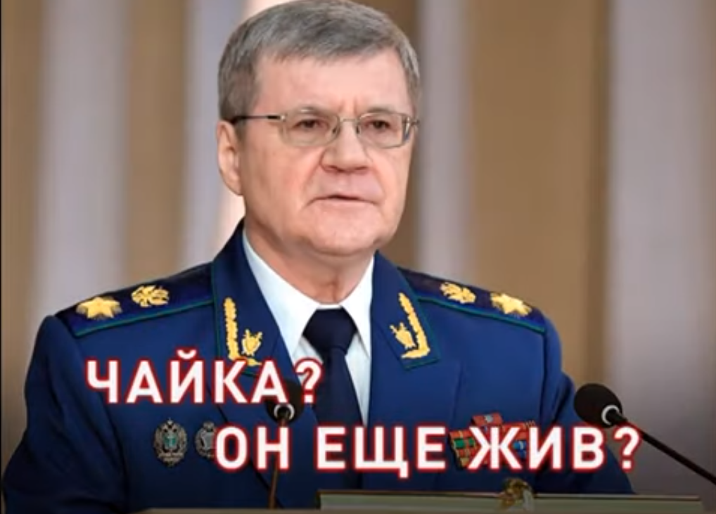 Чайка? Он еще жив?