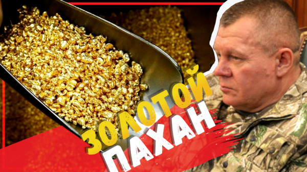Александр Карась. Анонс нового криминального расследования. Украсть 500кг и не сесть в тюрьму