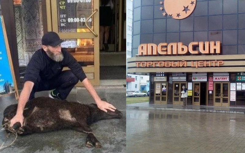 В татарском ТРЦ «Апельсин» барана зарезали и разделали на глазах у посетителей