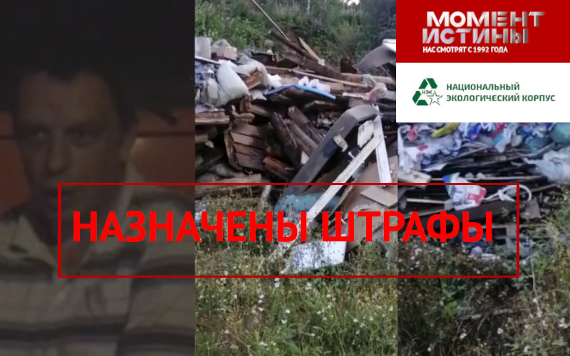 Победа! Экологическим преступникам в Раменском районе назначены штрафы!