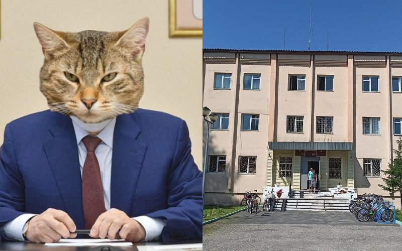 Жители поселка Юрино на пост главы «выдвигают» кота Барсика