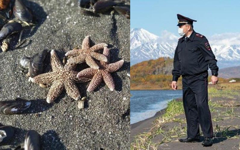 На Камчатке жители обеспокоены экологической катастрофой и ее последствиями
