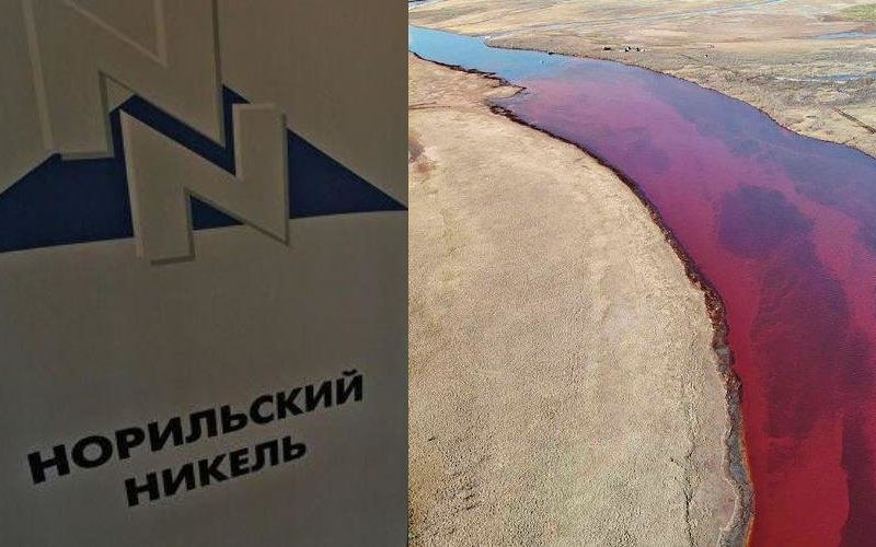 Как пивные кружки «Мюнхен» помогают «Норникелю» ликвидировать экологическую катастрофу?
