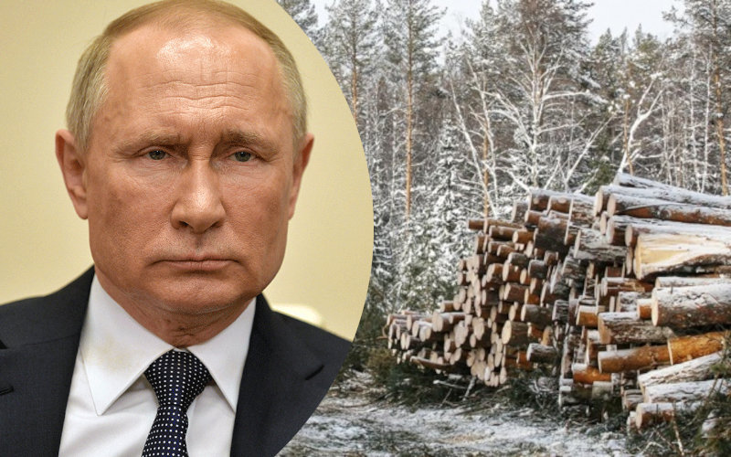 Спасите лес: Открытое письмо жителей Одинцовского г.о. к Владимиру Путину!