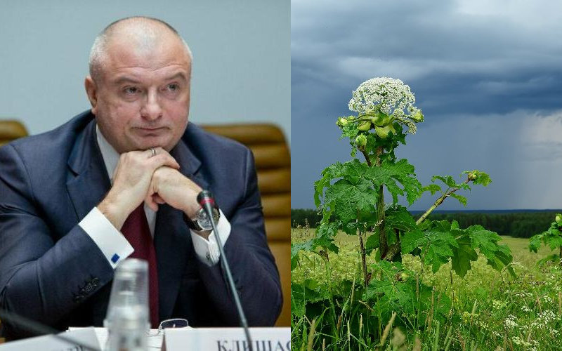 У матери сенатора Андрея Клишаса нашелся огромный земельный участок в Подмосковье