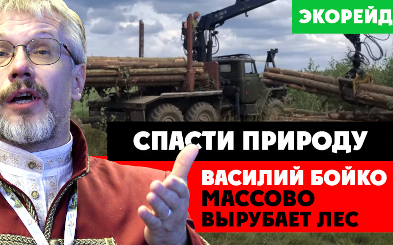 Василию Бойко дали по рукам. «Экорейд» помог жителям спасти от вырубки лес в Рузском городском округе Подмосковья