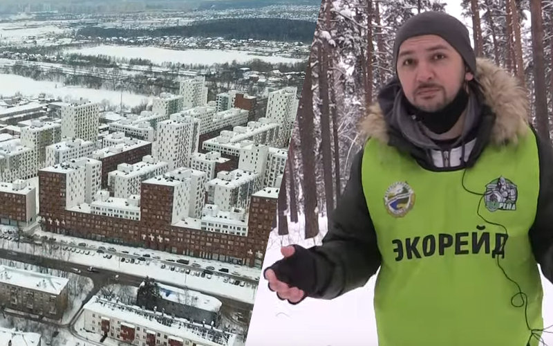 «Экорейд»: в подмосковном Красково ради элитной застройки уничтожают лес