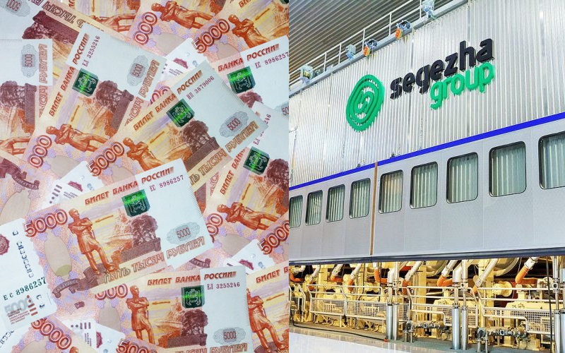 Нереальный успех: долги Segezha Group Владимира Евтушенкова выросли в 2022 году в три раза