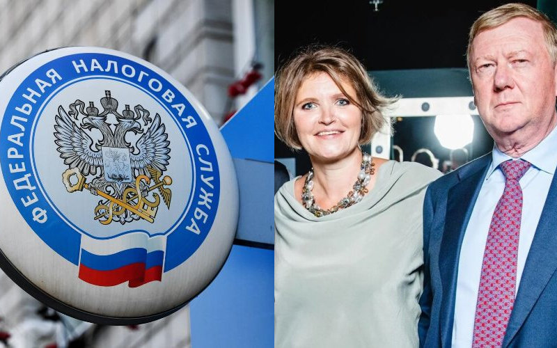 Супруга экс-главы «Роснано» Анатолия Чубайса закрыла собственное ИП в России