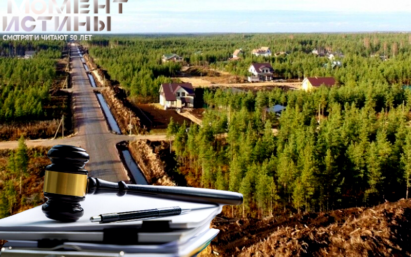 Хищения в СНТ 