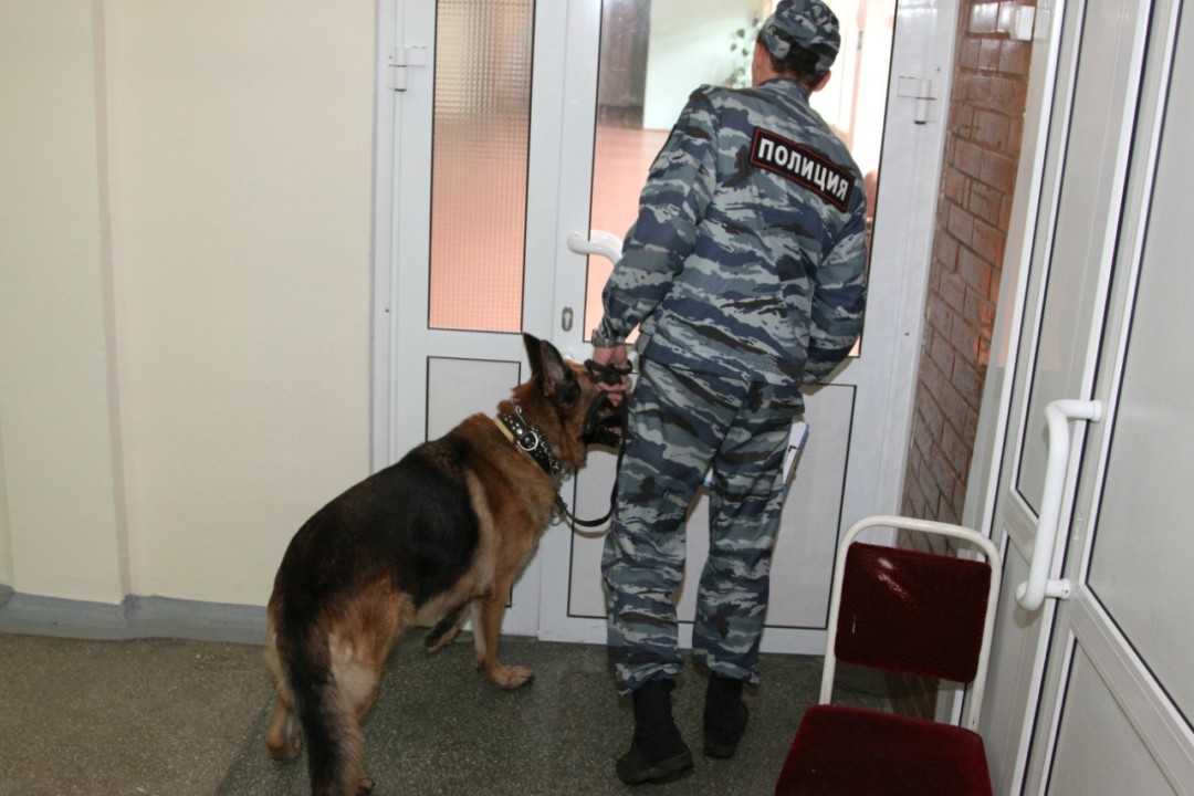 В красноярском главке МВД проходят обыски