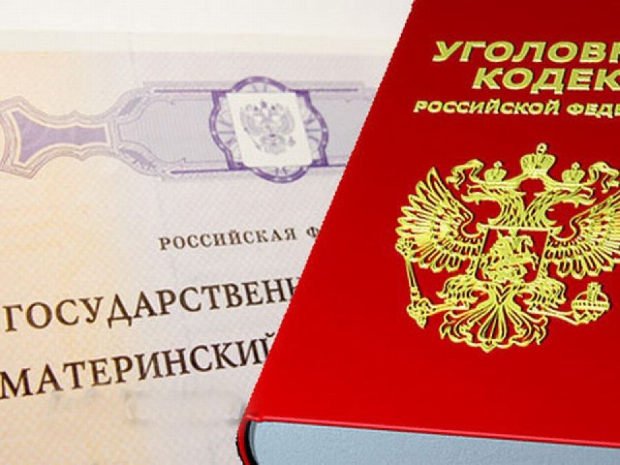 В Саранске мать двоих детей попыталась провернуть аферы с маткапиталом