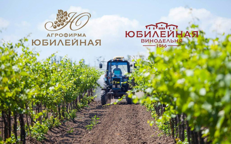 Банк Кубань Кредит отнимает бизнес у агрофирмы «Юбилейная». Краснодарская мафия Губернатора Кондратьева разрастается