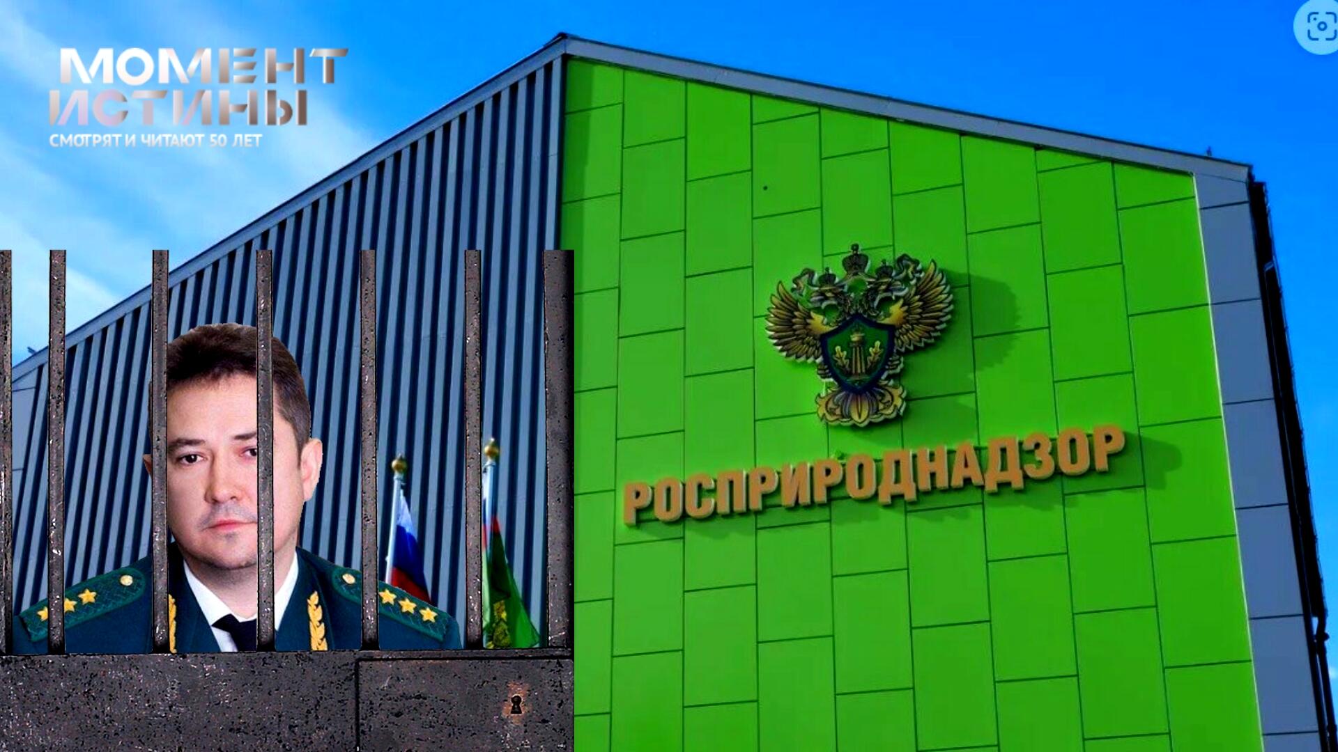 Дело Долматова: Следствие завершено экс-чиновник Росприроднадзора обвиняется в мошенничестве на 370 миллионов