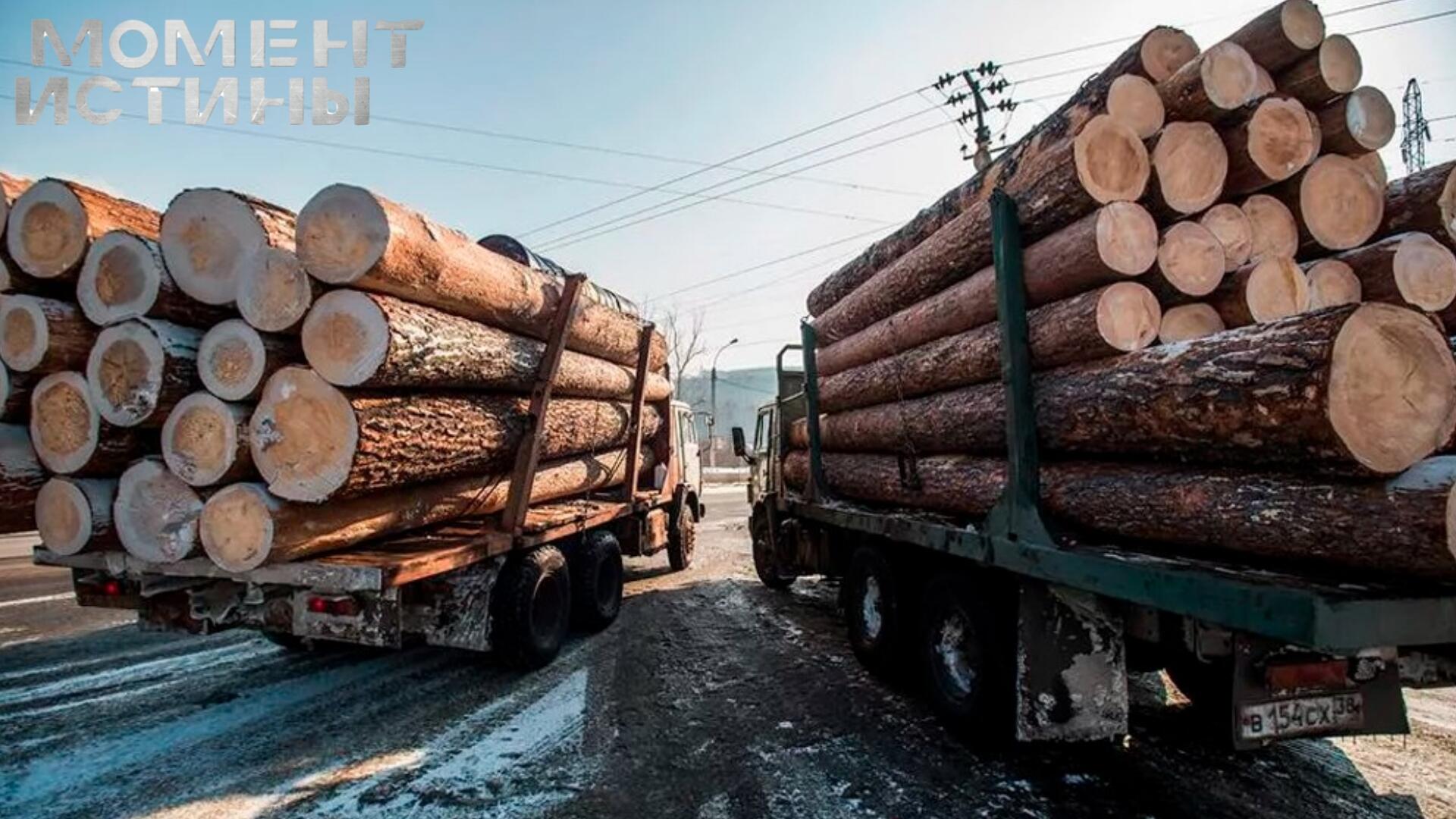 ФСБ пресекла контрабанду леса в Турцию: преступники получили по заслугам